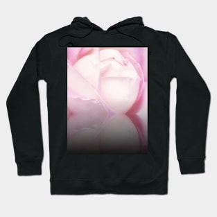 Delicate Pink Rose reflection Hoodie